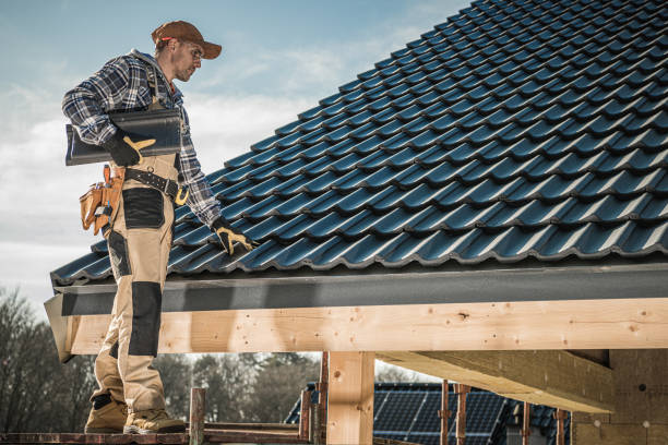 Best Roof Moss and Algae Removal  in Perry, IA